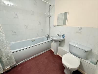 Picture 8